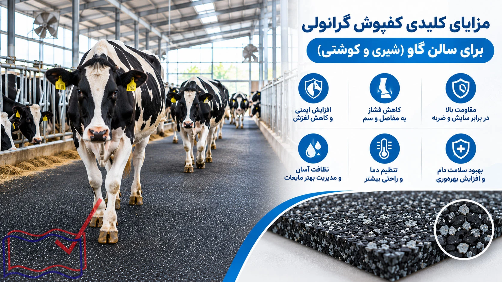 مزایای کلیدی کفپوش گرانولی در سالن پرورش گاو گوشتی و شیری